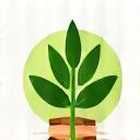 Eco-friendly packaging in store